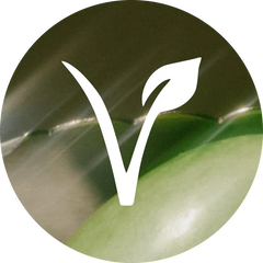 VEGAN
